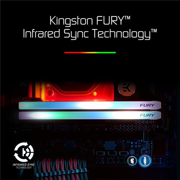 KINGSTON FURY Renegade RGB 48GB (2x24GB) DDR5 8000MHz CL36 UDIMM