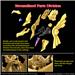 BANDAI Hobby Figure-rise Standard Amplified -EGYPTIAN GOD- THE WINGED DRAGON OF RA  "Yu-Gi-Oh!!" Model kit