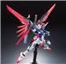 BANDAI RG 1/144 #11 Destiny Gundam "Gundam SEED Destiny" Model kit