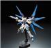 BANDAI RG #14 1/144 Strike Freedom Gundam 'Gundam SEED Destiny' Model kit