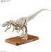 BANDAI Hobby PLANNOSAURUS Tyrannosaurus T-Rex Dinosaur Model Kit