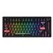 Dareu EK75 RT Wired Magnetic Mechanical Gaming Keyboard with Analog Hall-Effect Switches