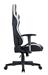 iCAN Ergonomic Gaming Chair, PVC Cover, Shaping Foam + Original Foam,  2D Armrests, 350mm Nylon Base, 60mm PU Caster, Class 4 Gas Lift. Black & White