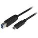 StarTech Cable USB-C male to USB-B male 6ft Thunderbolt 3 Compatible - Black (USB315CB2M)