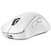 LOGITECH G PRO X SUPERLIGHT 2 DEX LIGHTSPEED Wireless Gaming Mouse, Optical Sensor Type, 5 Number of Buttons, 100 to 44,000 DPI, Lithium-Ion Battery- White (910-007363)