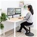 Mount-It! MI-1752  Full Motion Dual Monitor Desk Mount screens 13" - 27" and supports up to 17.6 lbs on each arm- Black