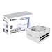 GIGABYTE GP-AE1000PM PG5 ICE - PCIe5.1 Ready - ATX3.1 - 1000W 80 PLUS Platinum Certified - Fully Modular Power Supply