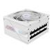 GIGABYTE GP-AE1000PM PG5 ICE - PCIe5.1 Ready - ATX3.1 - 1000W 80 PLUS Platinum Certified - Fully Modular Power Supply