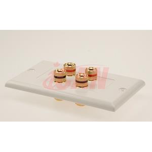 ICAN High Quality Banana Binding Post Two-Piece Inset Wall Plate(Open Box)