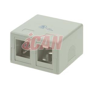 ICAN 2 Port Surface Mount Box CAT4/5/6 (RJ45 SMBOX-2WHI)