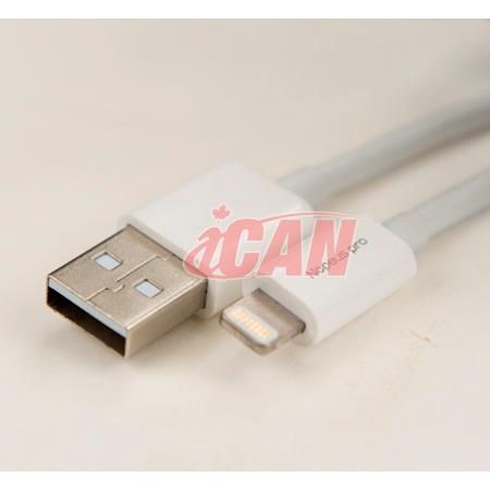 iCAN MFI Lightning M to USB M for 3ft