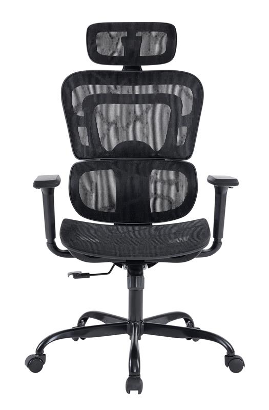 iCAN All Mesh Ergonomic Office Chair(Open Box)