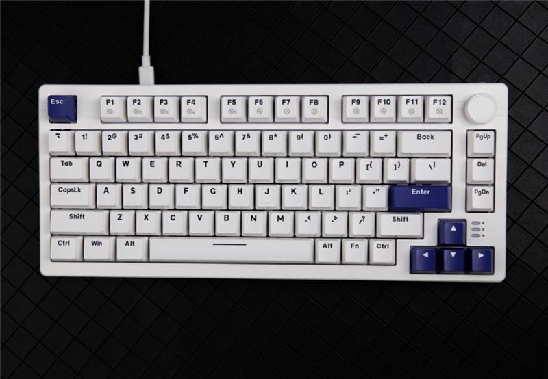 DAREU EK75-W Wired Rainbow Backlight Mechanical Keyboard with Linear Switches,White