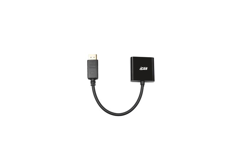 Adaptateur iCAN DisplayPort vers DVI, mâle vers femelle, noir