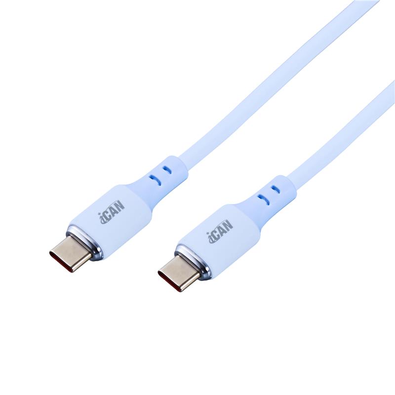 Câble iCAN USB 2.0 Type-C Mâle vers Type-C Mâle, 100W, 3,3 pieds