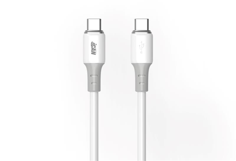 iCAN USB 2.0 Type-C Male to Type-C Male Cable, 100W, 6.6ft
