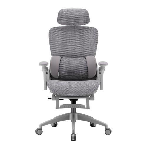 iCAN E21-GY Reclining Ergonomic Office Chair(Open Box)