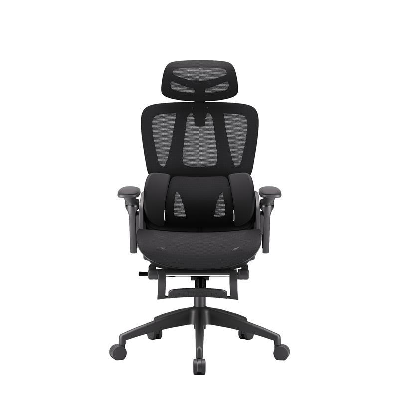 iCAN E21-BK Special Mesh Ergonomic Office Chair