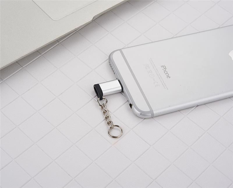 FLITOP Micro USB to Lightning Adapter with Key Chain, Silver