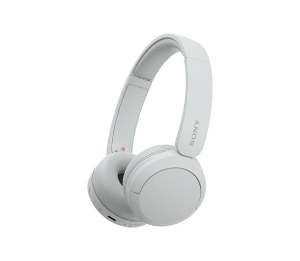 SONY WH-CH520 Wireless...