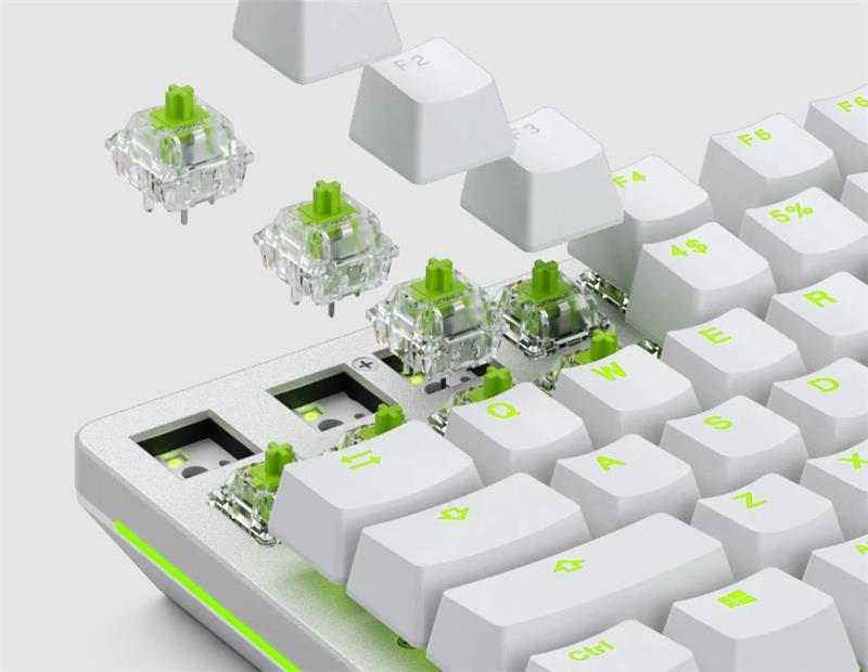 GLORIOUS 36 Pack Lubed Raptor Switch Clicky Canada Computers