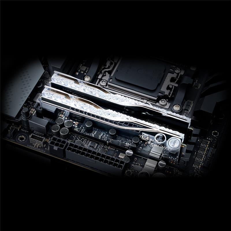 楽天 送料無料にならない NEO Royal Z5 Trident G.SKILL RGB 6000MHz DDR5 (2x48GB) 96GB ドッグフード