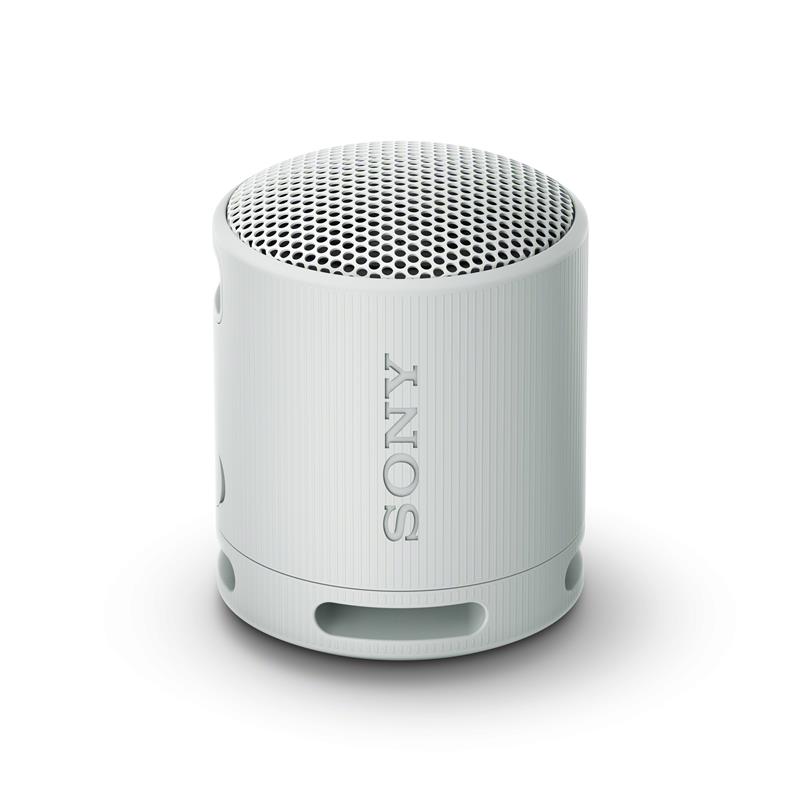 SONY SRS-XB100 Portable Wireless Speaker, Grey