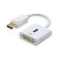 iCAN DisplayPort Male to DVI Female Adapter Gold Plated - 0.2M (ZGH-DP-11-0.2M)