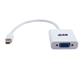 iCAN Mac Mini DisplayPort Male to SVGA Female Active Adapter - 0.2M (ZGH-DP-04-0.2M)