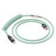 iCAN Coiled Keyboard Cable, USB-A to USB Type-C, 1.5m (5ft), Turquoise