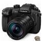 Panasonic Lumix GH5 4K Mirrorless Camera with Leica 12-60mm f/2.8-4.0 Lens (DCGH5LK)