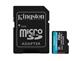 Kingston Canvas Go! Plus, 256GB microSDXC Memory Card With Adapter, Class 10, UHS-I, U3, V30, A2, Up to170MB/s Read and 90MB/s Write (SDCG3/256GBCR)(Open Box)