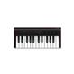 IK MULTIMEDIA iRig Keys 2 Mini Compact 25-Key MIDI Keyboard Controller for iPhone/iPad & Mac/PC, Black(Open Box)