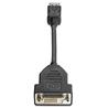 HP DisplayPort to DVI-D Adapter (FH973AT)