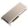NVIDIA H100 80GB Graphic Card PCIe Gen5: 128GB/s