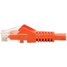 Tripp Lite Câble réseau de brassage UTP Cat.6 série