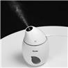 Benks 160ML Mini Mango Shaped Mist Humidifier