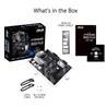 ASUS PRIME B550-PLUS AMD B550 (Ryzen AM4) ATX motherboard with dual M.2, PCIe 4.0, 1 Gb Ethernet, DisplayPort/HDMI, SATA 6 Gbps