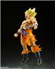 BANDAI Spirits S.H.Figuarts Super Saiyan Son Goku -Legendary Super Saiyan- Dragon Ball Z Action Figure (SHF Figuarts)