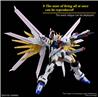 BANDAI HGCE #250 1/144 Mighty Strike Freedom Gundam