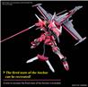 BANDAI HGCE #251 1/144 Infinite Justice Gundam TypeII