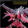 BANDAI HGCE #251 1/144 Infinite Justice Gundam TypeII