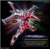 BANDAI HGCE #251 1/144 Infinite Justice Gundam TypeII