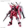 BANDAI HGCE #251 1/144 Infinite Justice Gundam TypeII