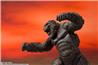 BANDAI Spirits S.H. Monsterarts Kong "Godzilla VS Kong"