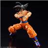 BANDAI Hobby Figure-Rise Standard Son Goku New Spec Ver. "Dragon Ball Z" | Simple Assembly Kit | No Paint | Fit & Snap By Hand!