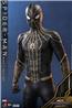 Hot Toys Spider-Man: No Way Home Spider-Man (Black & Gold Suit) 1/6 Sixth Scale Collectible Figure