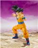 TAMASHII NATIONS S.H.Figuarts SON GOKU Dragon Ball DAIMA