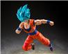 BANDAI SHF Dragon Ball Super Saiyan God Son Goku Blue Power