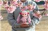Good Smile Company Nendoroid Large Sakura Miku